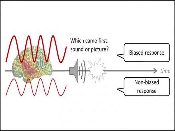 The strength of alpha brain waves (left) reveals biased decisions (right) (Picture courtesy: Grabot and Kayser, JNeurosci 2020) The strength of alpha brain waves (left) reveals biased decisions (right) (Picture courtesy: Grabot and Kayser, JNeurosci 2020)