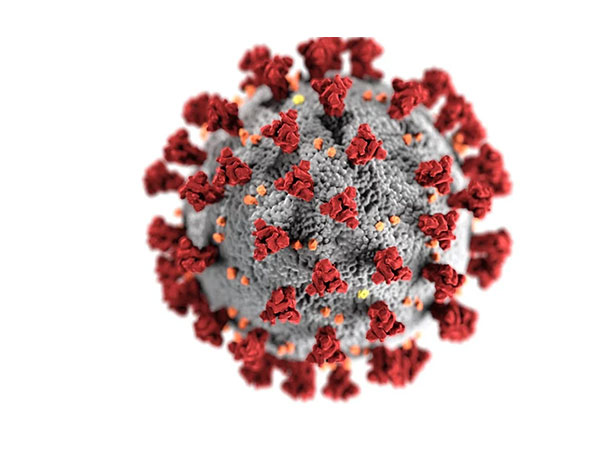 Research finds that viruses may have eyes and ears on us