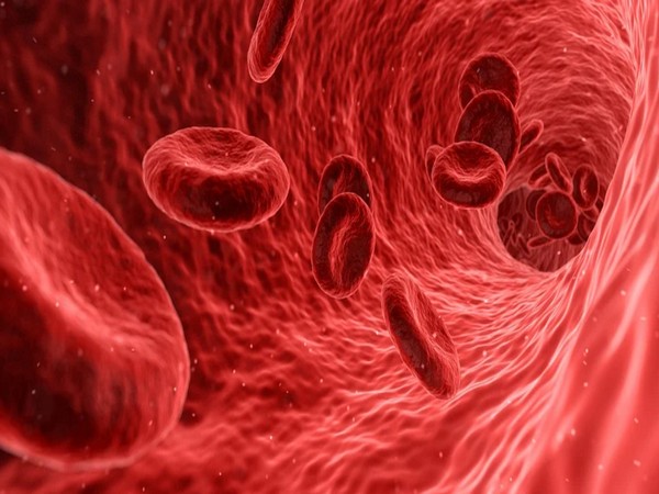 Scientists test smart red blood cells to deliver antibiotics that target specific bacteria