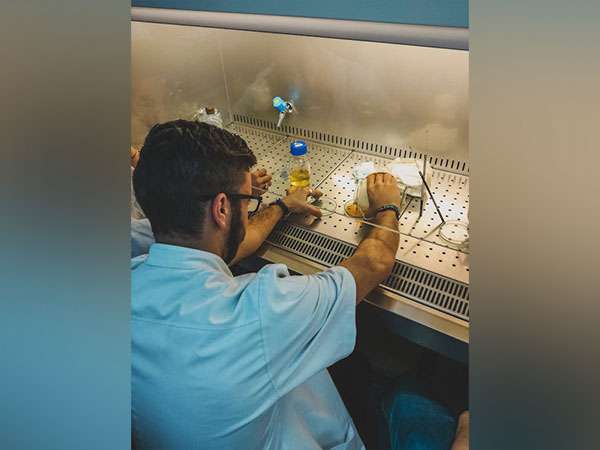 Research: Enzymes could be key to understanding how DNA mutates