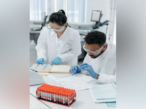 Study reveals a new approach for Alzheimers therapies