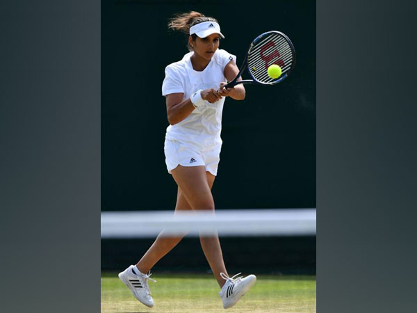 Sania Mirza. (file image)