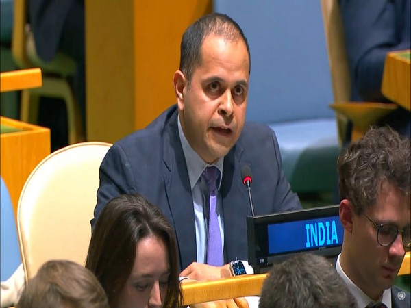 Indian Counsellor Pratik Mathur (Screen grab from UN Web TV)