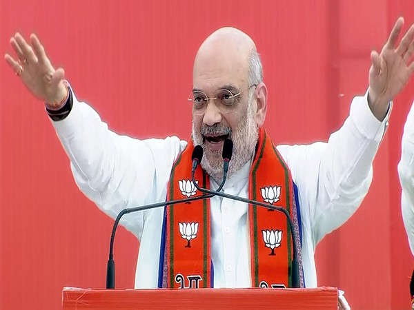 Union Home Minister Amit Shah (Photo/ANI)