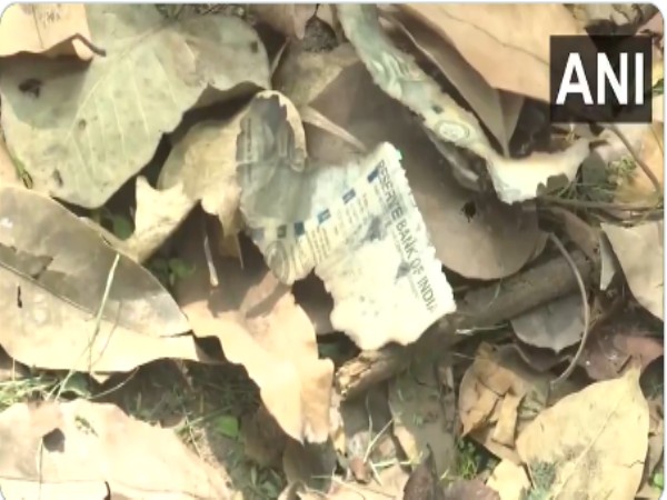 Burnt currency notes found in garbage near Delhi HC judge Yashwant Varma's residence (Photo/ANI)