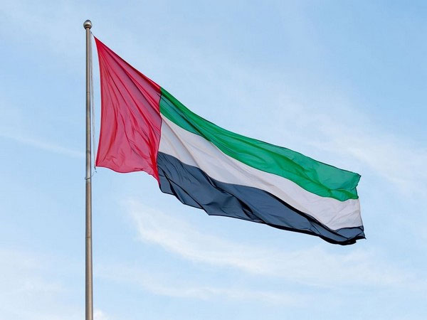Flag of UAE