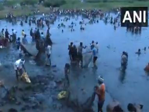 Villagers celebrate centuries-old fishing festival in Tamil Nadu's Melur (Photo/ANI)