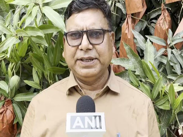 Krishna Mohan Choudhary(Chief Horticulture Specialist) on new bagging technique(Photo/ANI)