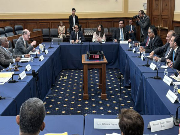 US lawmakers meeting Pakistani delegation (Photo/ Congressman Brad Sherman on X @BradSherman)