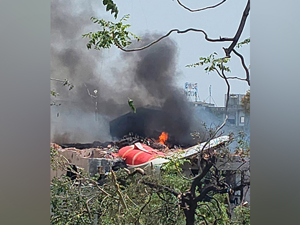 Visuals from the crash site (Photo/ANI)