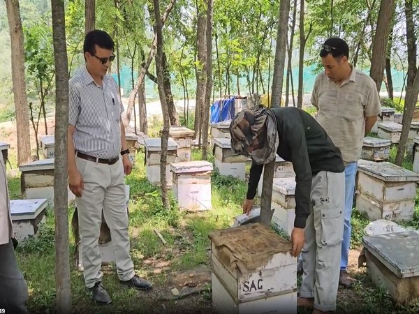 HADP boosts honey production in Anantnag district (Photo/ANI)