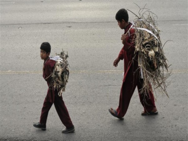 Represntative Image, (Photo/Reuters)