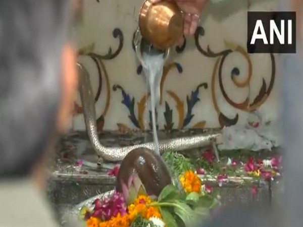 Abhishek at Gauri Shankar Temple (Photo/ANI)