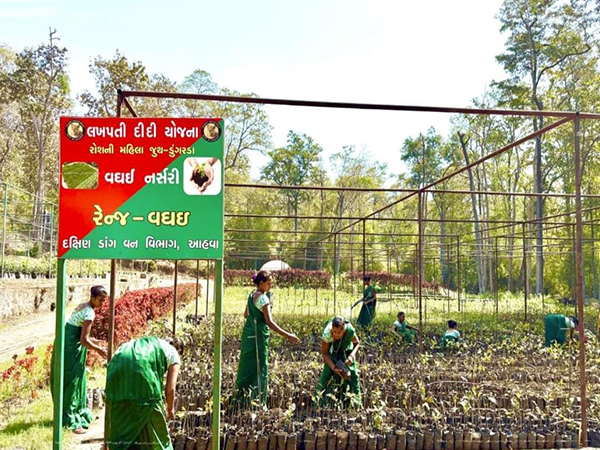 Women from SHGs working on nursery raising and plantation in Gujarat's South Dang. (Photo/ANI)