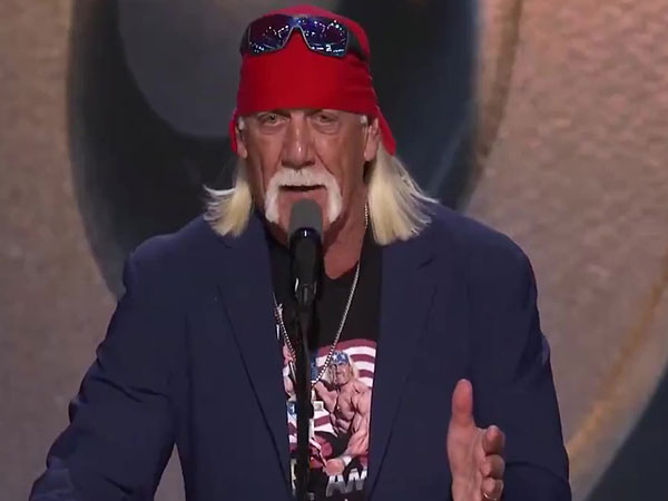 Hulk Hogan (Photo: File image)