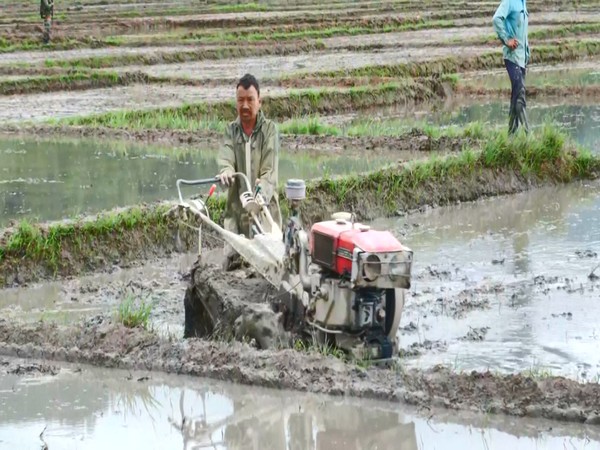 Life restarts in Manipur's conflict-hit villages through farming (Photo/ANI)