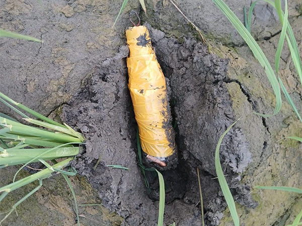 Plastic bottle containing pistol parts and four live rounds (Photo/BSF)
