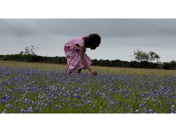 Madayipara's deep blue flower blooms (Photo/ANI)