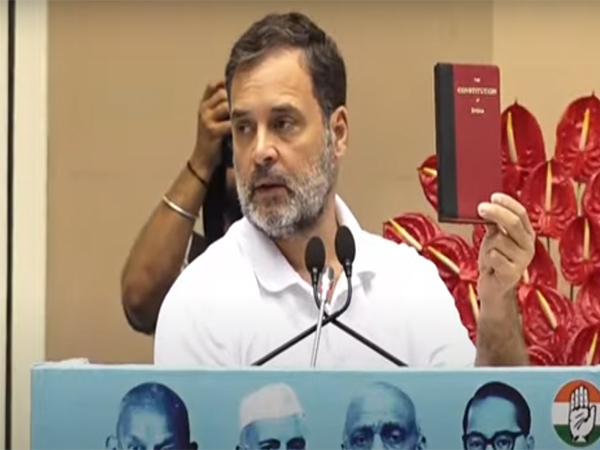 Congress MP Rahul Gandhi (Photo/ANI)