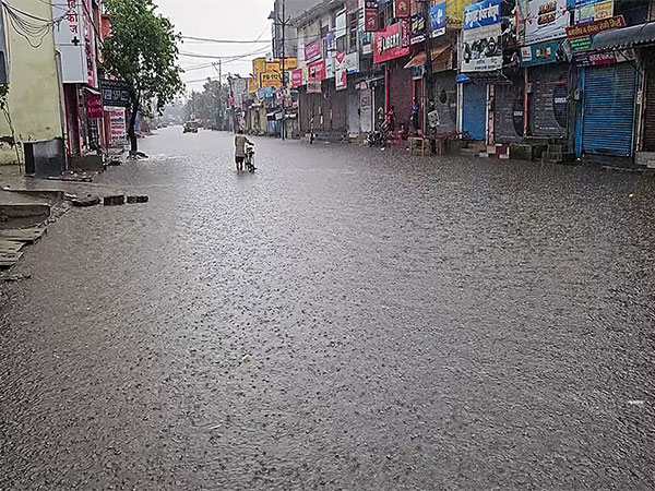 A man drags his cycle through waterlogged road following heavy rainfall, in Jhajjar (Photo/ANI)
