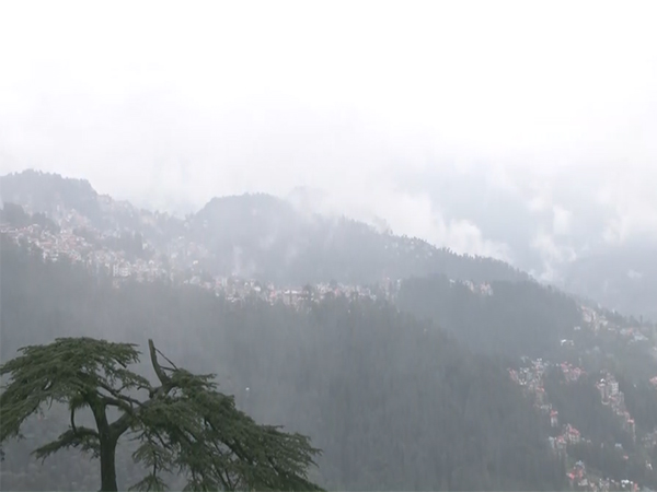 IMD forecasts persistent heavy rainfall in Himachal (Photo/ANI)