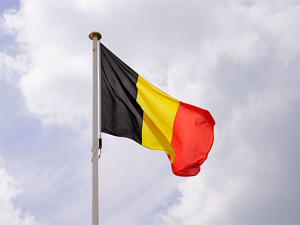 Belgium issues 12 guidelines for AI use in advertising (Photo/WAM)