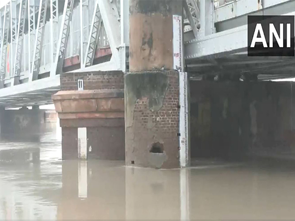 Yamuna River flowing below the danger mark (Photo/ANI)