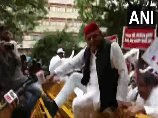 Samajwadi Party chief Akhilesh Yadav (Photo/ANI)