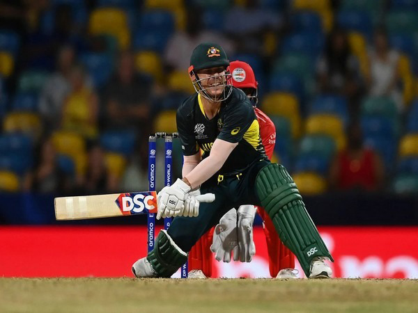 David Warner. (Photo: ICC)