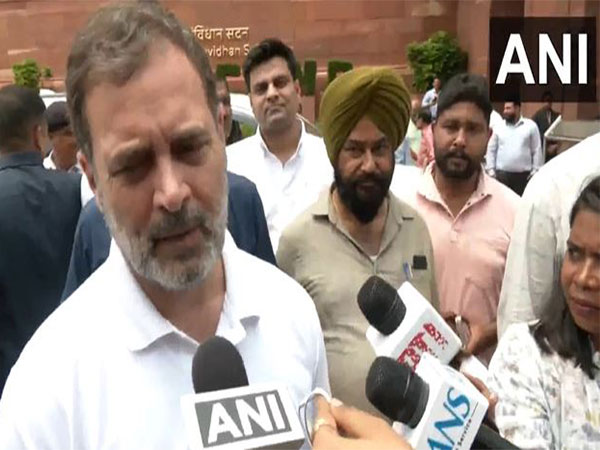 Lok Sabha LoP and Congress MP Rahul Gandhi (Photo/ANI)