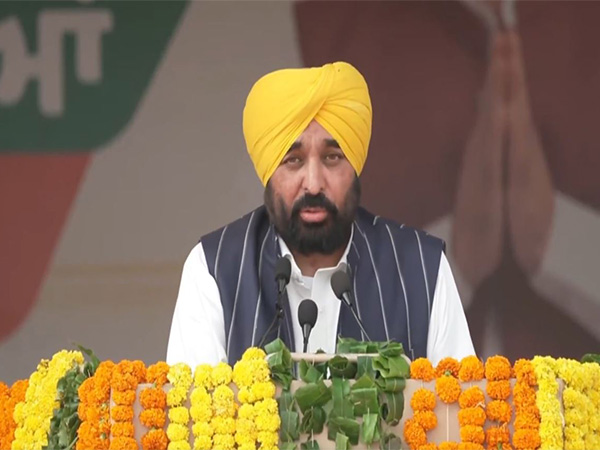 Punjab CM Bhagwant Mann. (Photo/ANI)