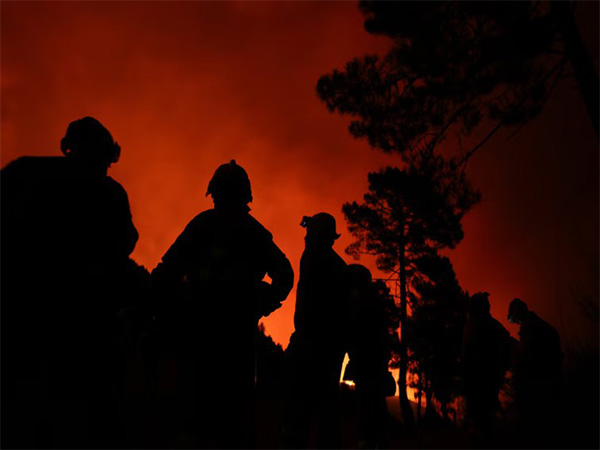 Spain and Portugal battle raging wildfires amid heatwave (File Photo/Reuters)