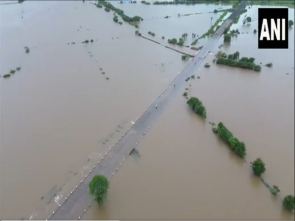Heavy rain floods Gujarat's Devbhoomi Dwarka. (Photo/ANI)