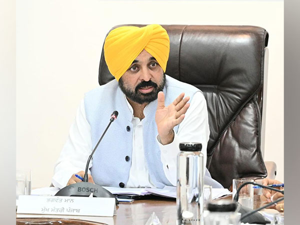 Punjab Chief Minister Bhagwat Mann (File Photo/ANI)