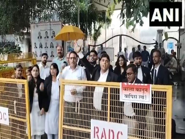 Lawyers held a protest against the notification issued by the Delhi LG VK Saxena notification (File Photo/ANI)