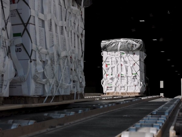 UAE conducts 81st airdrop of aid over Gaza Strip (Photo/WAM)