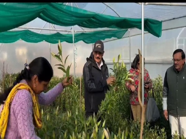 Women in Pauri Garhwal's Kot block cultivate lilies. (Photo/ANI)