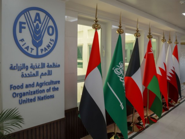 FAO marks Emirati Women's Day (Photo/WAM)