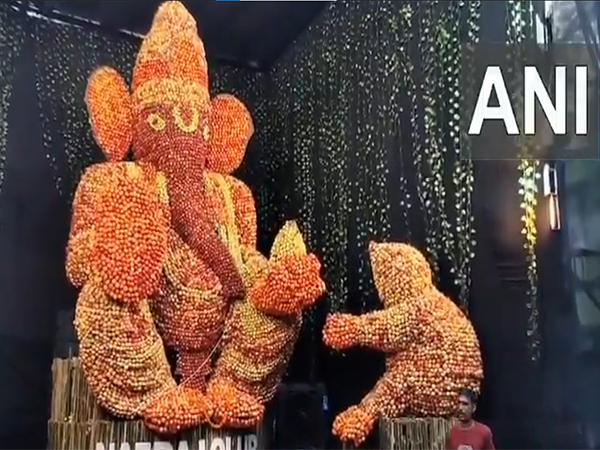 Lord Ganesh statue with help of apples (Photo: ANI)