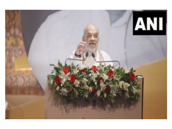 Union Home Minister Amit Shah (Photo/ANI)