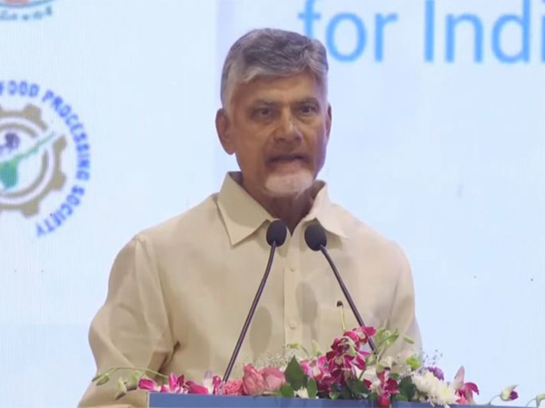 Andhra Pradesh CM N Chandrababu Naidu (Photo/I&PR Andhra Pradesh)