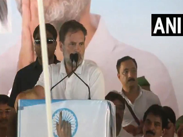Congress leader Rahul Gandhi (Photo/ANI)