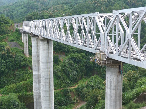 A visual of Bairabi-Sairang rail route (Photo/ANI) 