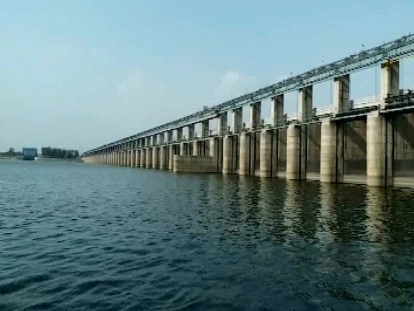 Mahanadi River in Odisha (Photo/ANI)
