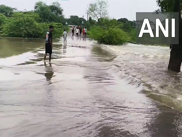 Drains overflowing in Rajasthan's Dausa (Photo: ANI) 