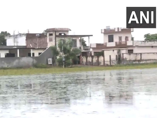 Visuals from Amritsar (Photo/ANI)