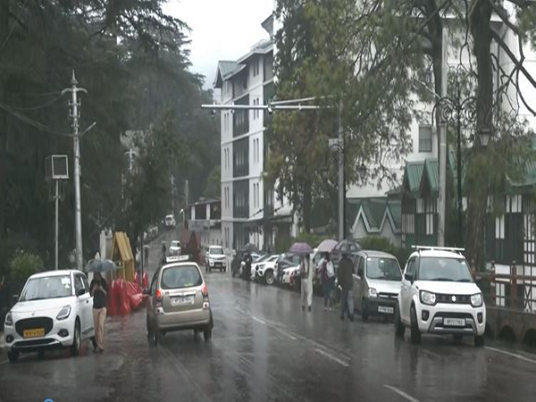 A visual from Shimla (Photo/ANI)