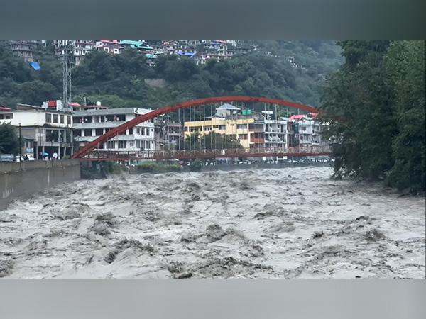Rain lashes Shimla city/ (Photo/ANI)