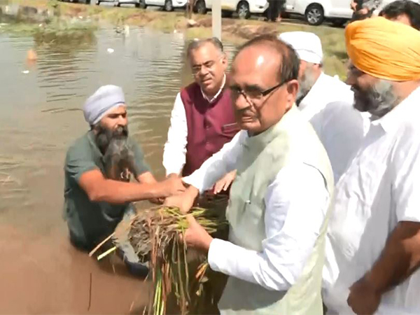 Union Minister Shivraj Singh Chouhan visits the flood-affected areas in Amritsar (Photo/ANI)