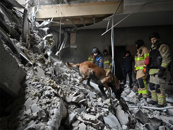 Rescuers work with a dog at the site of a building heavily damaged by a Russian missile strike amid Russia's attack on Ukraine (Photo/Reuters)